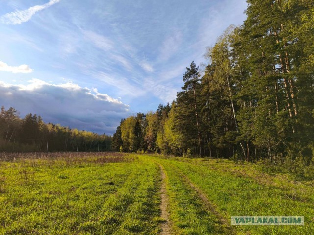 Бронедом-2