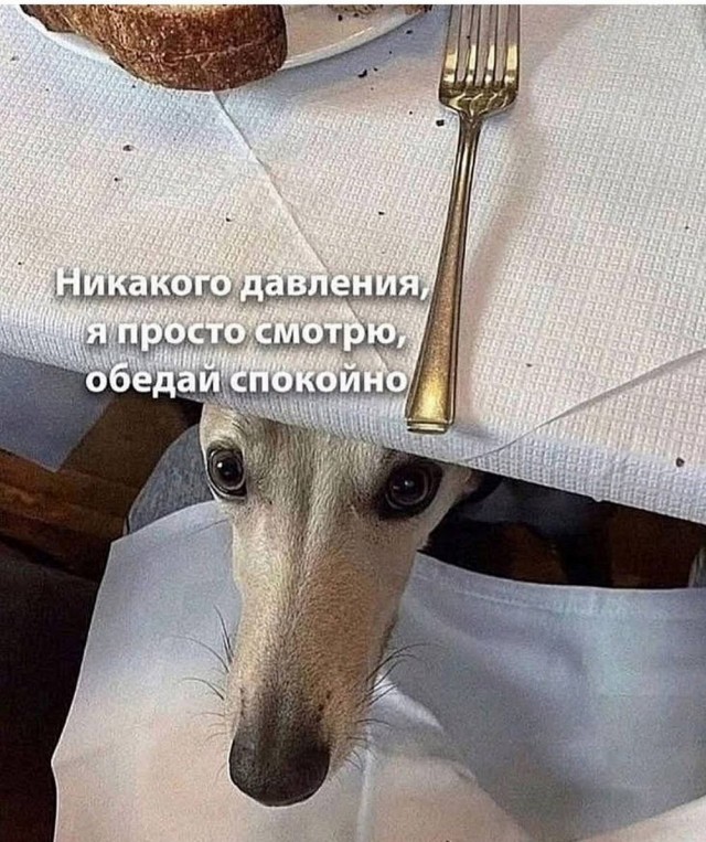 Четверговые картинки