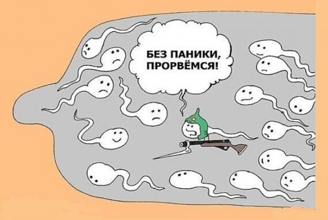 Забавные и не очень скромные картинки - 23