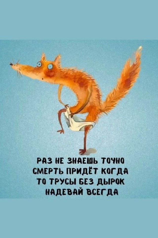 Прикольные и просто красивые картинки 16.01.2026