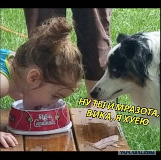 Картинки для деградации 137 (разной степени свежести)