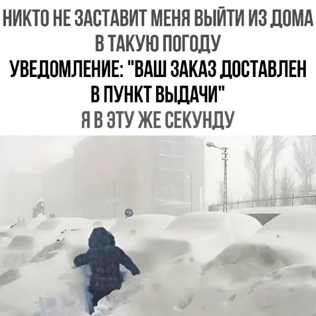 Смех да и только