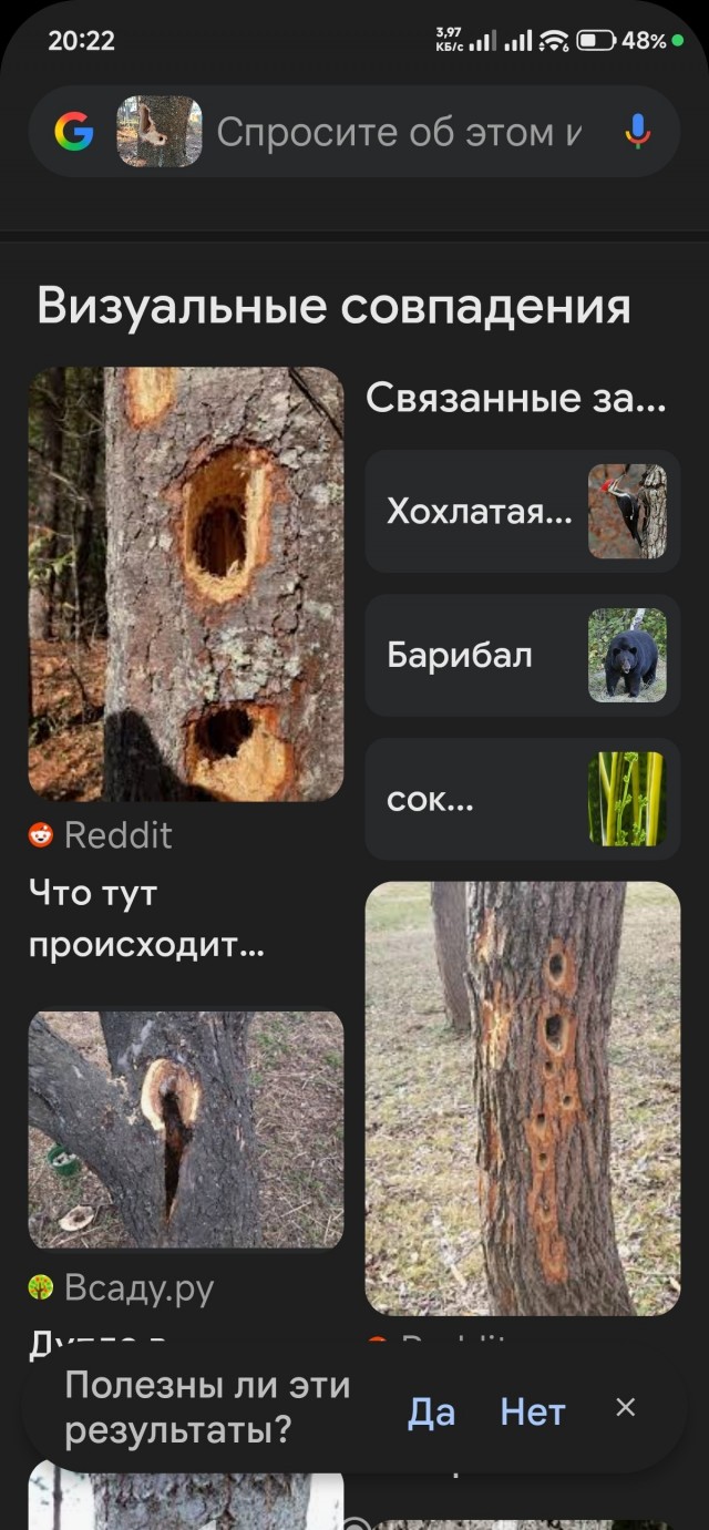 Кто-то покусал дерево