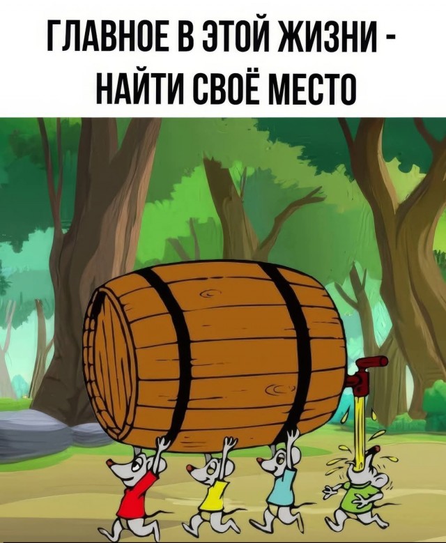 Так себе картинки 08.05.26