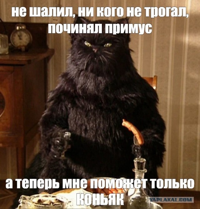 Официант, водочки мне принеси