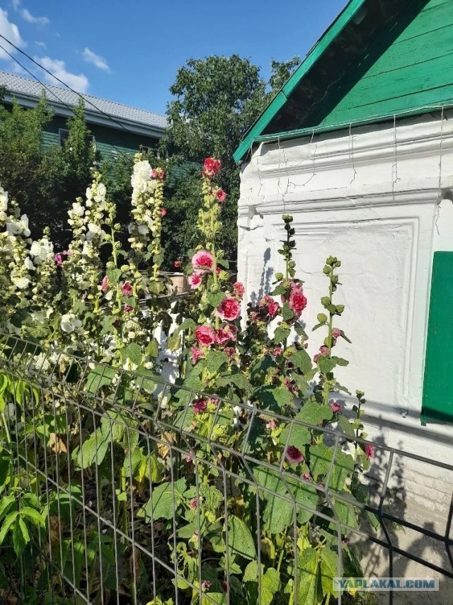 Не дать растаять Снегурчке. Нужна помощь всесильного Япа.