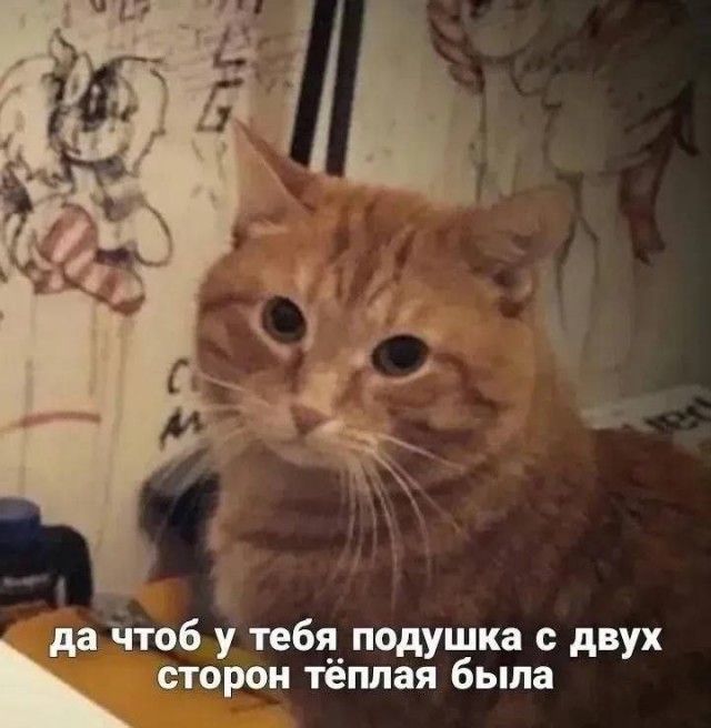 мемчики