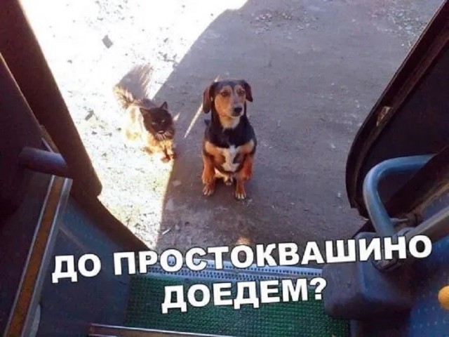 Так себе картинки 20.07.26