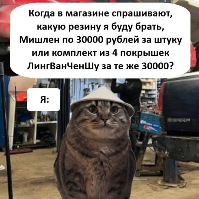 Картинки для деградации 304 (разной степени свежести)