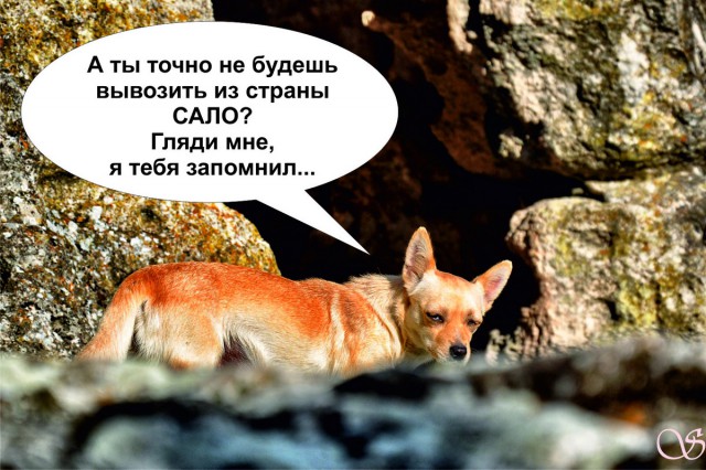 Путешествие по Крыму