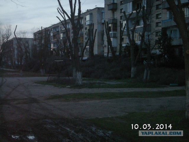 Они вернулись.