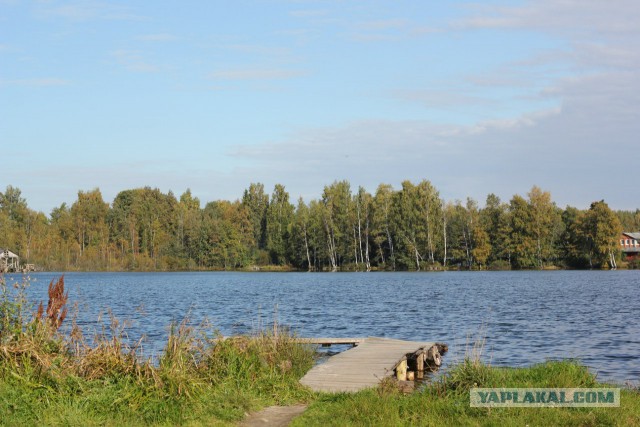 Хочу в Россию.