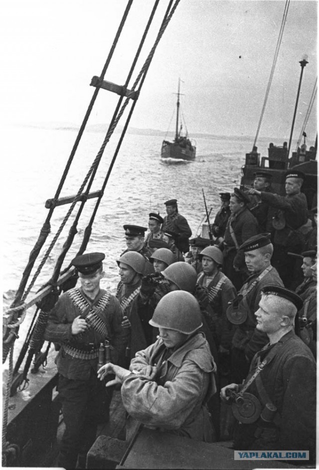 Фотографы войны. Северный флот