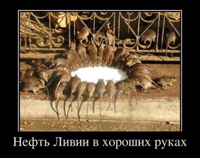 Муамар Каддафи Погиб.