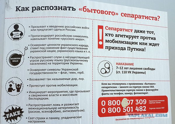 Страна стукачей
