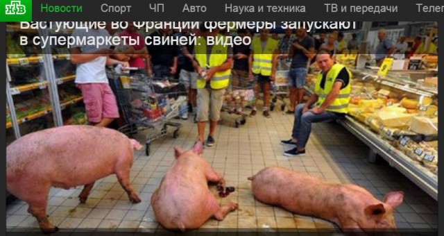 Фермер из Курской области пообещала сжечь урожай