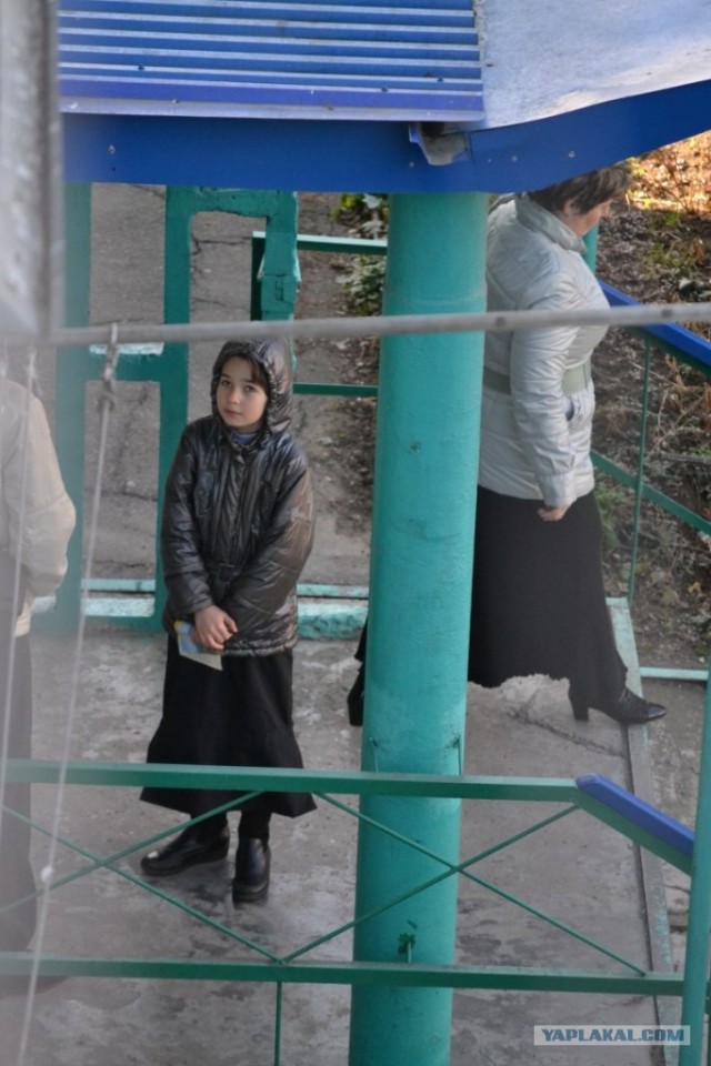 Новые "Свидетели ... "