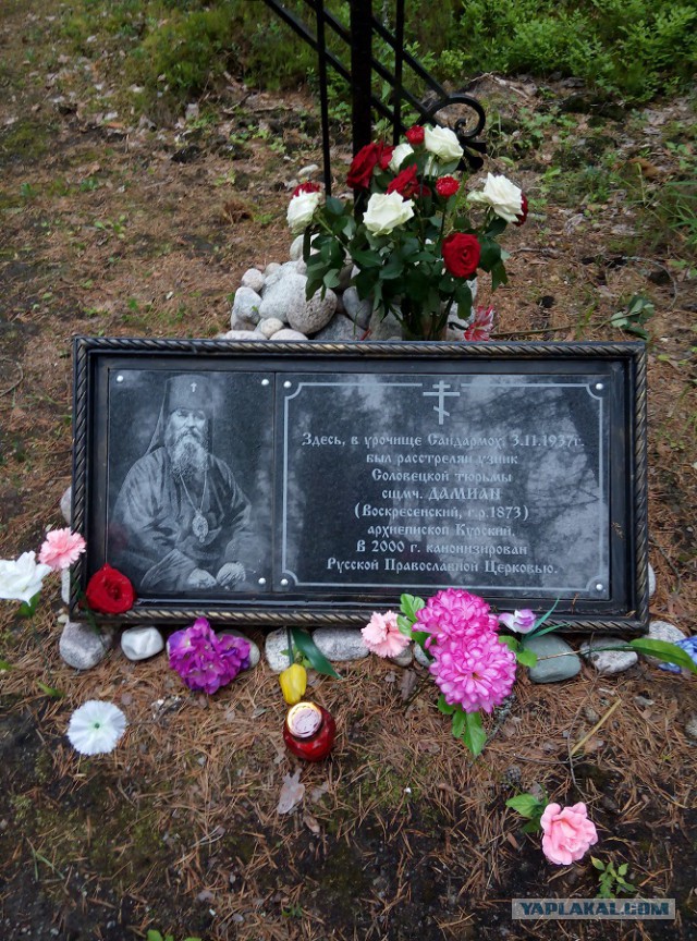 Сезон 2015 в Карелии
