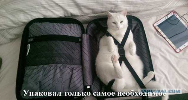 Немного позитива