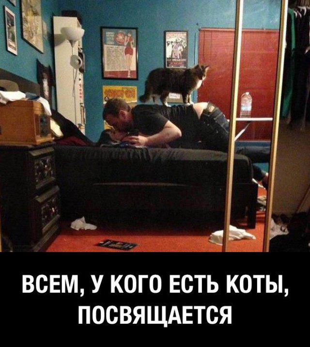 Картинки смешные и несмешные