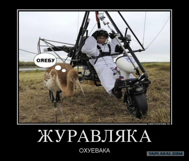 Путин с клювом в халате возглавил журавлиный клин