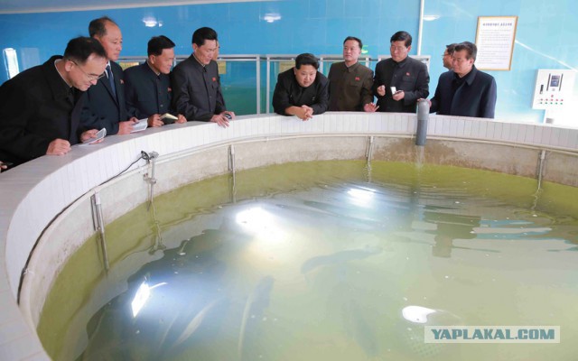 Большая подборка фото Любимого Маршала!