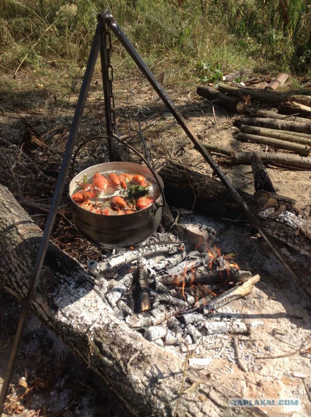 Полевая кухня