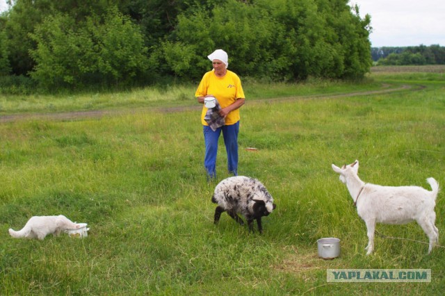 Подборка "тёплых, уютных, домашних" фотографий. Часть 2