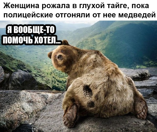 Женщина рожала в глухой тайге, пока полицейские отгоняли от нее медведей