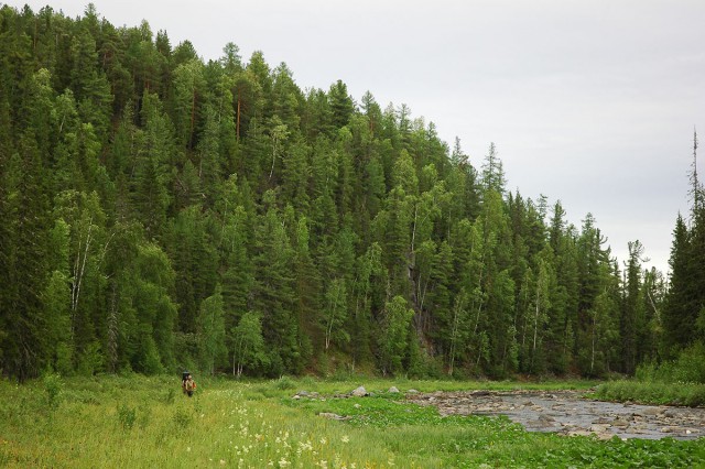 Деревенская Америка - 2