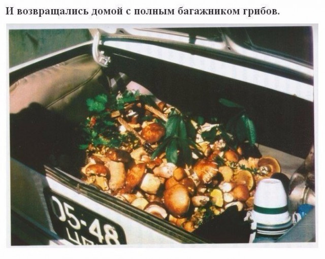 Картинки всякие