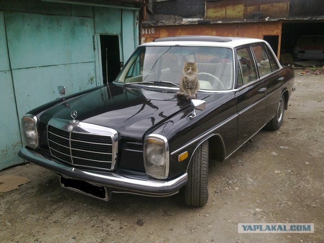 Билет в бизнес-класс 70-х: тест-драйв Mercedes-Benz W115