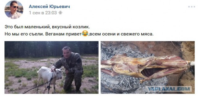 Живодерки из Хабаровска
