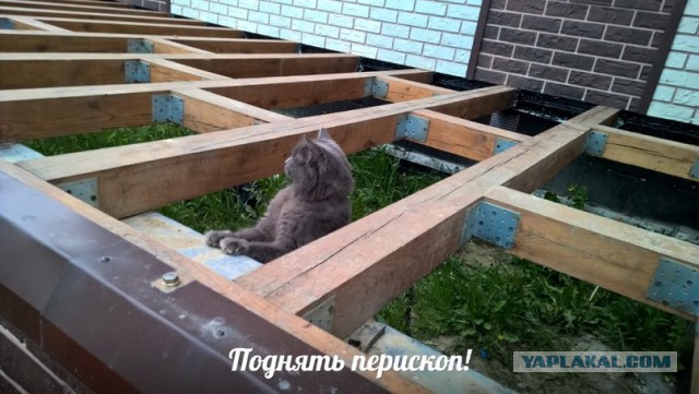 Террасу запилил