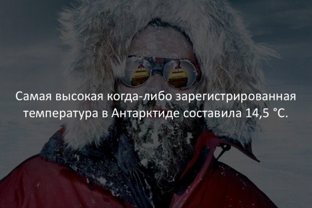 40 интересных фактов в картинках.
