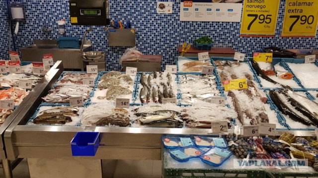 Настоящая Испания изнутри: на местный рынок за продуктами