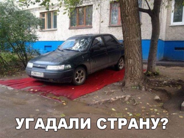 Подборка безудержного веселья