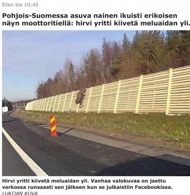 Пьяный лось на яблоне