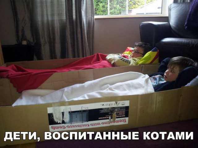 Прикольные картинки абавсём