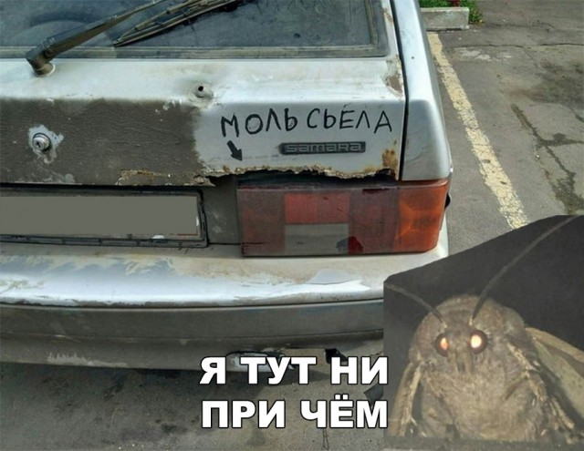 Нестандартный юмор