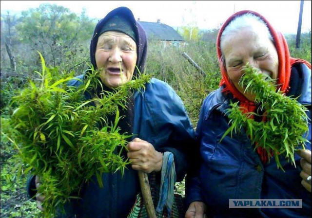 Гениально