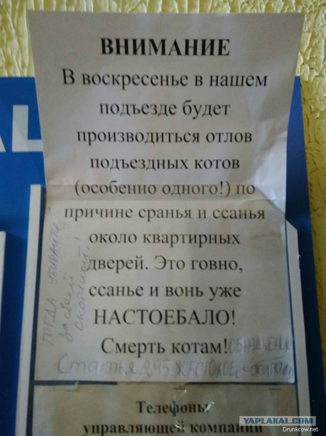 Когда на половую жизнь - не хватает