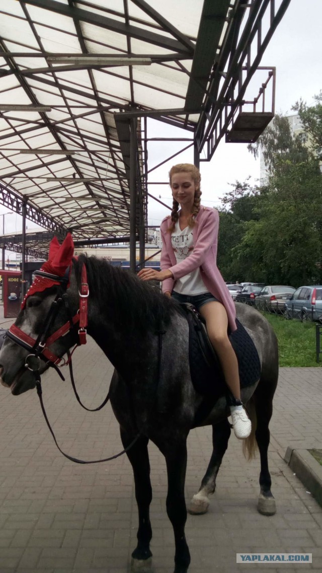 Девушки из провинции