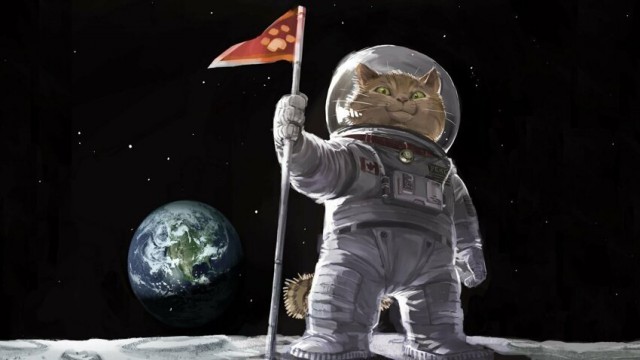 Немного картинок для настроения