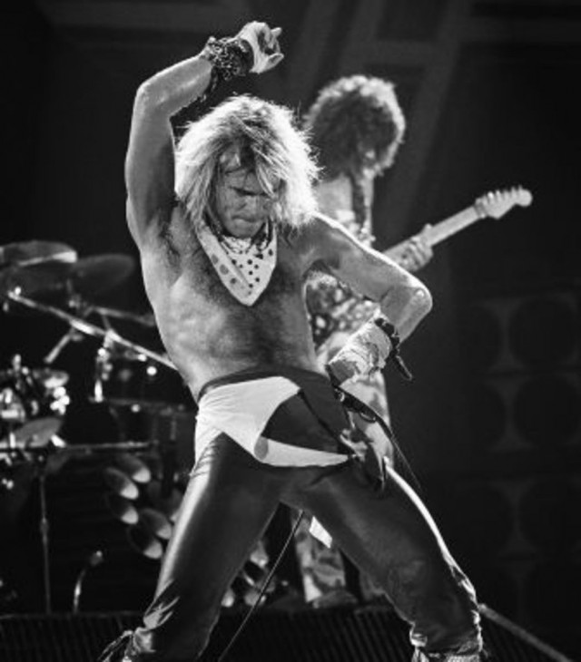 David Lee Roth - знакомое имя