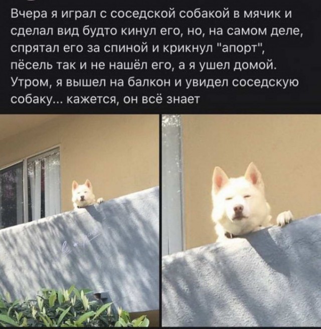Громкие заявления
