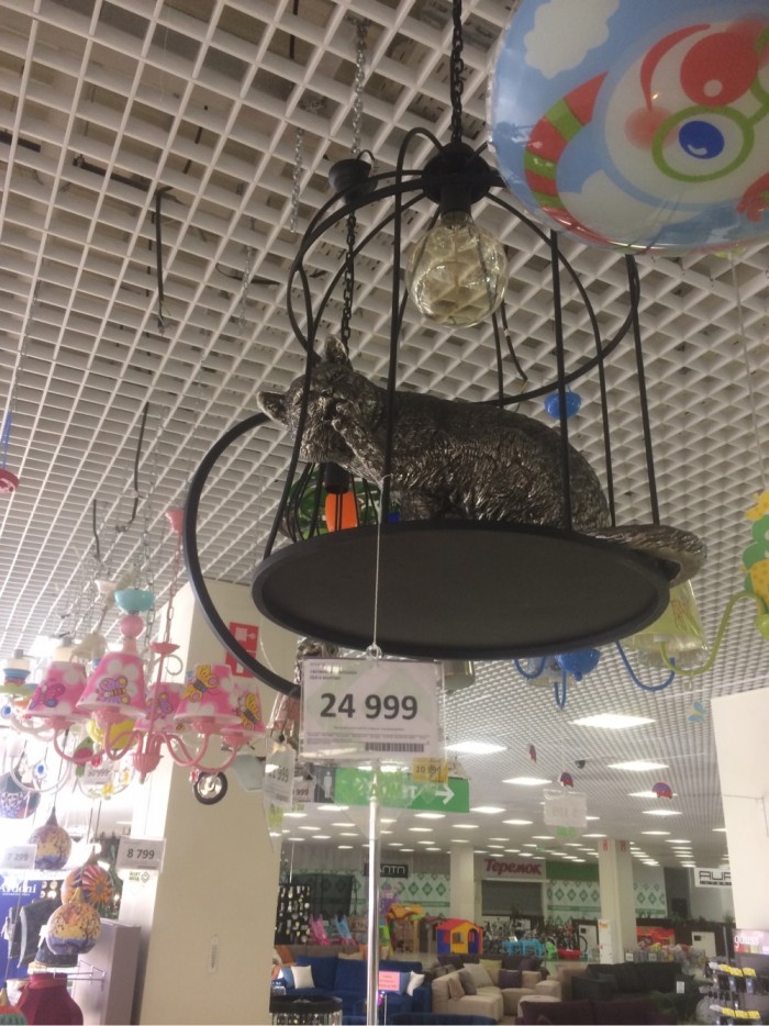 Мой персональный кот с лампой