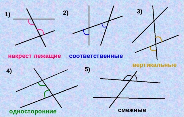 Как выглядит бергамот