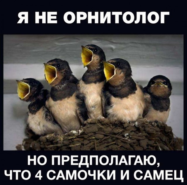 Календарь намекает, что завтра пятница!