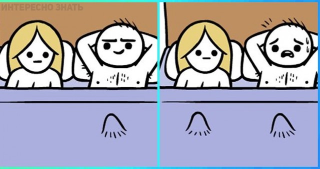 Просто картинки
